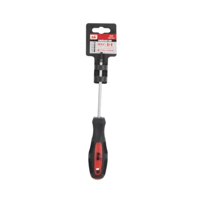 Surubelnita Torx T30 100 mm; Evotools 605146