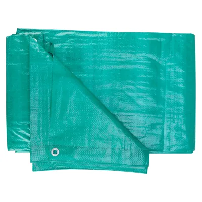 Prelata Cu Inele 6x10 m, 120 g/mp, Verde, Evotools 678833